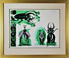 Beetles #1